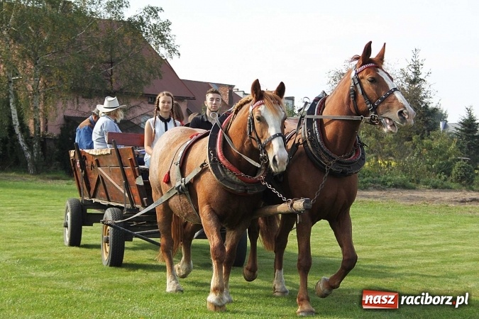 Zdjęcie w galerii na portalu naszraciborz.pl: Piknik św. Huberta w gminie Kornowac wiadomości z regionu