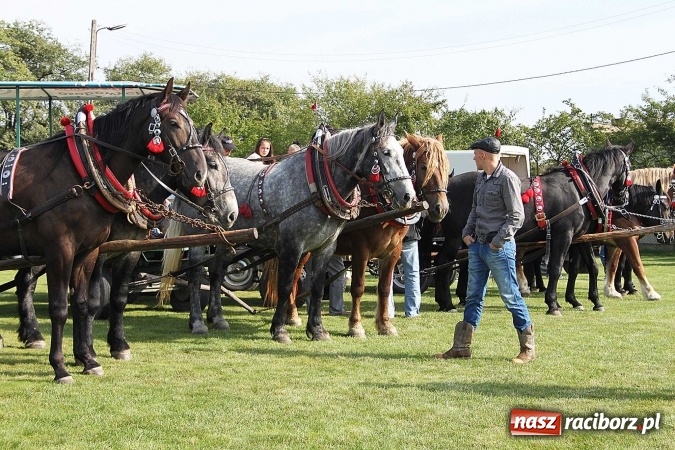 Zdjęcie w galerii na portalu naszraciborz.pl: Piknik św. Huberta w gminie Kornowac wiadomości z regionu