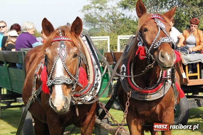 Zdjęcie w galerii na portalu naszraciborz.pl: Piknik św. Huberta w gminie Kornowac wiadomości z regionu