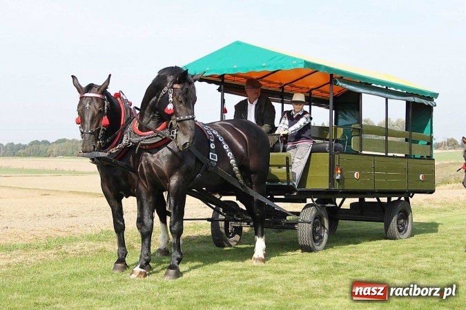 Zdjęcie w galerii na portalu naszraciborz.pl: Piknik św. Huberta w gminie Kornowac wiadomości z regionu