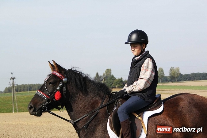 Zdjęcie w galerii na portalu naszraciborz.pl: Piknik św. Huberta w gminie Kornowac wiadomości z regionu