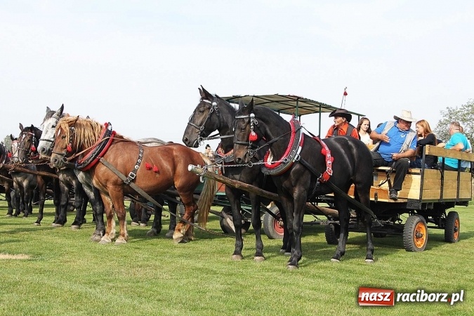 Zdjęcie w galerii na portalu naszraciborz.pl: Piknik św. Huberta w gminie Kornowac wiadomości z regionu