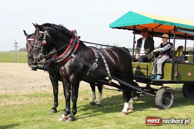 Zdjęcie w galerii na portalu naszraciborz.pl: Piknik św. Huberta w gminie Kornowac wiadomości z regionu