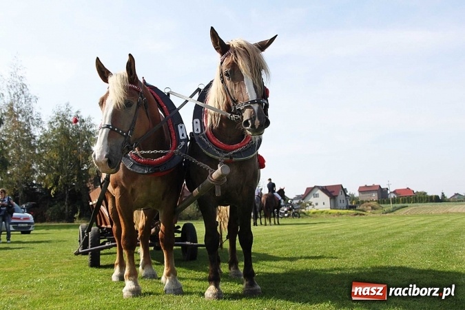 Zdjęcie w galerii na portalu naszraciborz.pl: Piknik św. Huberta w gminie Kornowac wiadomości z regionu
