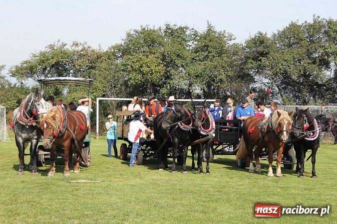 Zdjęcie w galerii na portalu naszraciborz.pl: Piknik św. Huberta w gminie Kornowac wiadomości z regionu