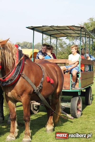 Zdjęcie w galerii na portalu naszraciborz.pl: Piknik św. Huberta w gminie Kornowac wiadomości z regionu