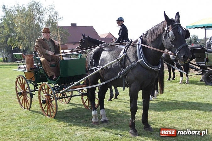 Zdjęcie w galerii na portalu naszraciborz.pl: Piknik św. Huberta w gminie Kornowac wiadomości z regionu