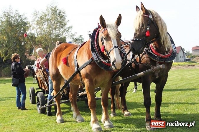 Zdjęcie w galerii na portalu naszraciborz.pl: Piknik św. Huberta w gminie Kornowac wiadomości z regionu