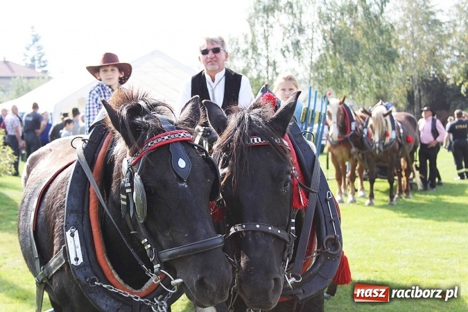 Zdjęcie w galerii na portalu naszraciborz.pl: Piknik św. Huberta w gminie Kornowac wiadomości z regionu