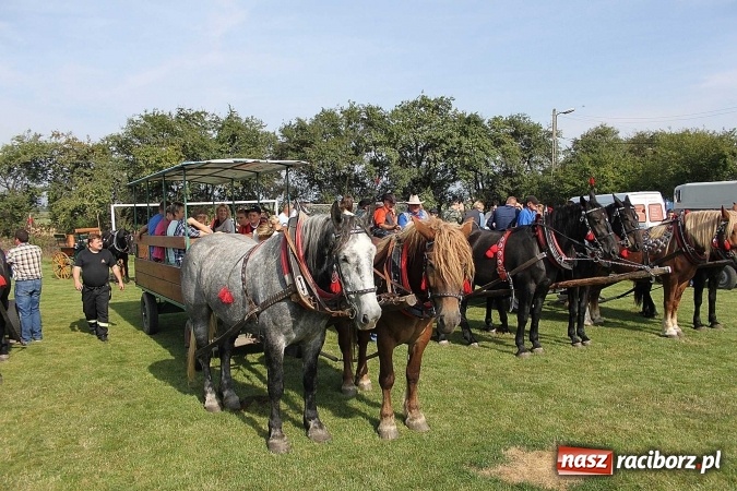 Zdjęcie w galerii na portalu naszraciborz.pl: Piknik św. Huberta w gminie Kornowac wiadomości z regionu