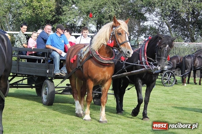Zdjęcie w galerii na portalu naszraciborz.pl: Piknik św. Huberta w gminie Kornowac wiadomości z regionu