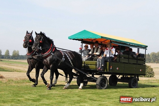 Zdjęcie w galerii na portalu naszraciborz.pl: Piknik św. Huberta w gminie Kornowac wiadomości z regionu