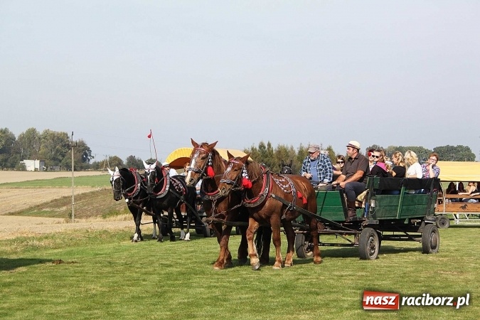 Zdjęcie w galerii na portalu naszraciborz.pl: Piknik św. Huberta w gminie Kornowac wiadomości z regionu