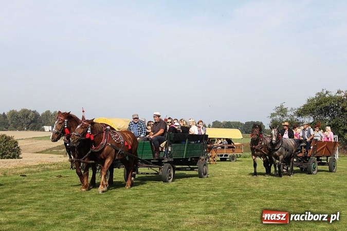 Zdjęcie w galerii na portalu naszraciborz.pl: Piknik św. Huberta w gminie Kornowac wiadomości z regionu