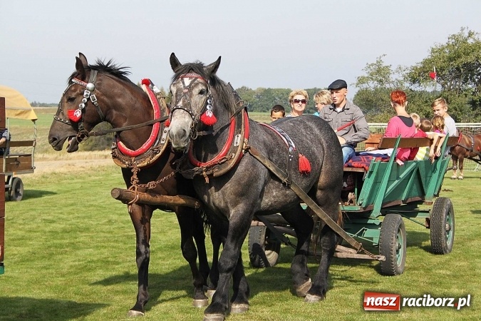 Zdjęcie w galerii na portalu naszraciborz.pl: Piknik św. Huberta w gminie Kornowac wiadomości z regionu