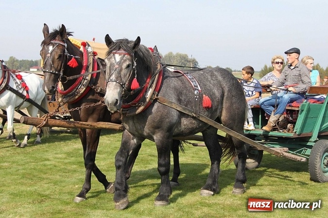 Zdjęcie w galerii na portalu naszraciborz.pl: Piknik św. Huberta w gminie Kornowac wiadomości z regionu