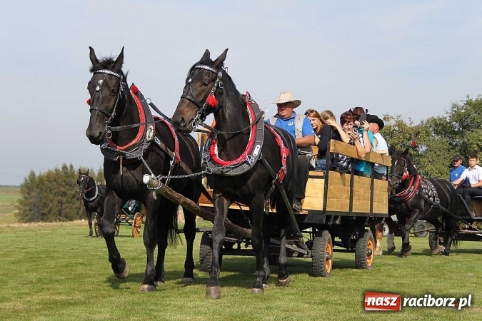 Zdjęcie w galerii na portalu naszraciborz.pl: Piknik św. Huberta w gminie Kornowac wiadomości z regionu