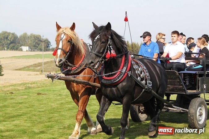 Zdjęcie w galerii na portalu naszraciborz.pl: Piknik św. Huberta w gminie Kornowac wiadomości z regionu