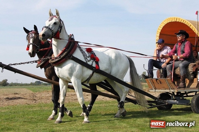 Zdjęcie w galerii na portalu naszraciborz.pl: Piknik św. Huberta w gminie Kornowac wiadomości z regionu