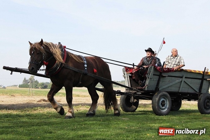 Zdjęcie w galerii na portalu naszraciborz.pl: Piknik św. Huberta w gminie Kornowac wiadomości z regionu