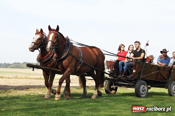 Zdjęcie w galerii na portalu naszraciborz.pl: Piknik św. Huberta w gminie Kornowac wiadomości z regionu