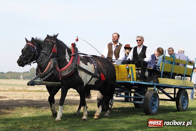 Zdjęcie w galerii na portalu naszraciborz.pl: Piknik św. Huberta w gminie Kornowac wiadomości z regionu