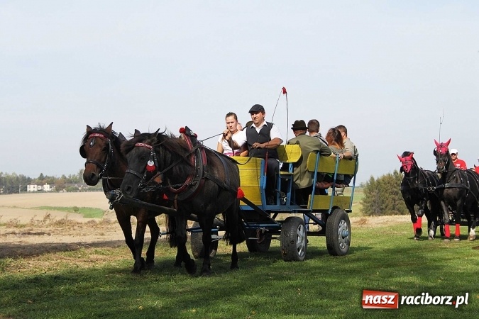 Zdjęcie w galerii na portalu naszraciborz.pl: Piknik św. Huberta w gminie Kornowac wiadomości z regionu