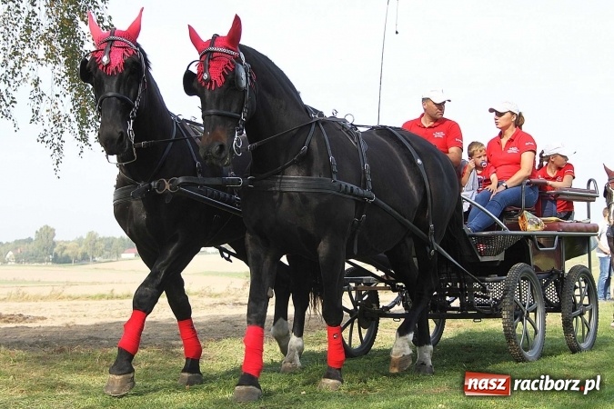 Zdjęcie w galerii na portalu naszraciborz.pl: Piknik św. Huberta w gminie Kornowac wiadomości z regionu