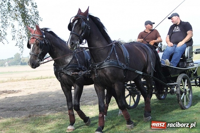 Zdjęcie w galerii na portalu naszraciborz.pl: Piknik św. Huberta w gminie Kornowac wiadomości z regionu