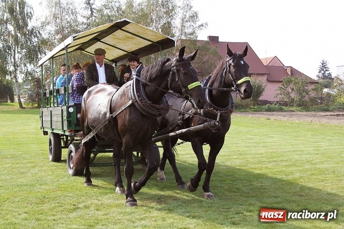 Zdjęcie w galerii na portalu naszraciborz.pl: Piknik św. Huberta w gminie Kornowac wiadomości z regionu