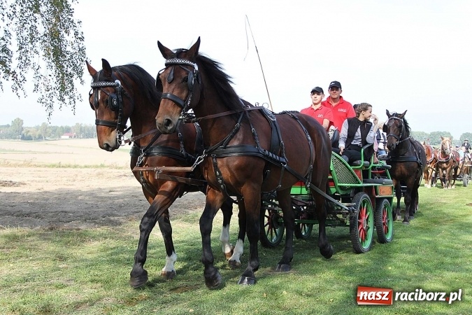 Zdjęcie w galerii na portalu naszraciborz.pl: Piknik św. Huberta w gminie Kornowac wiadomości z regionu