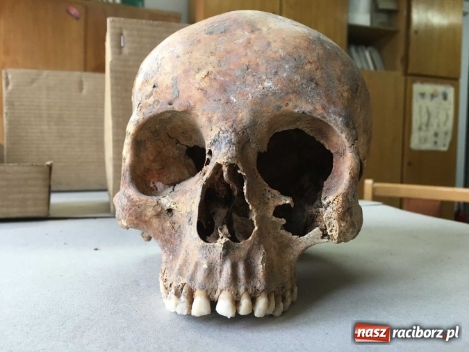 Zdjęcie w galerii na portalu naszraciborz.pl: Czesi pobiorą próbki do analiz DNA z domniemanych szczątków ostatniego raciborskiego Przemyślidy wiadomości z regionu