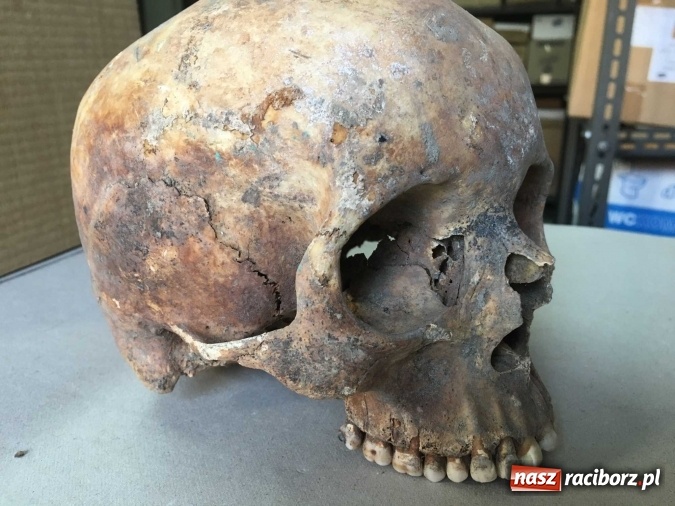 Zdjęcie w galerii na portalu naszraciborz.pl: Czesi pobiorą próbki do analiz DNA z domniemanych szczątków ostatniego raciborskiego Przemyślidy wiadomości z regionu