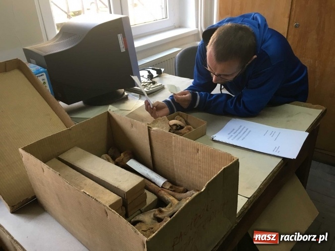 Zdjęcie w galerii na portalu naszraciborz.pl: Czesi pobiorą próbki do analiz DNA z domniemanych szczątków ostatniego raciborskiego Przemyślidy wiadomości z regionu