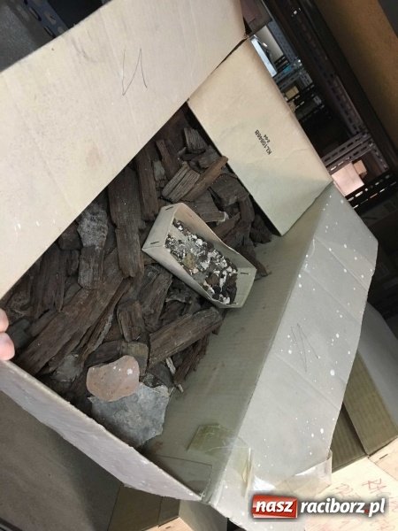 Zdjęcie w galerii na portalu naszraciborz.pl: Czesi pobiorą próbki do analiz DNA z domniemanych szczątków ostatniego raciborskiego Przemyślidy wiadomości z regionu