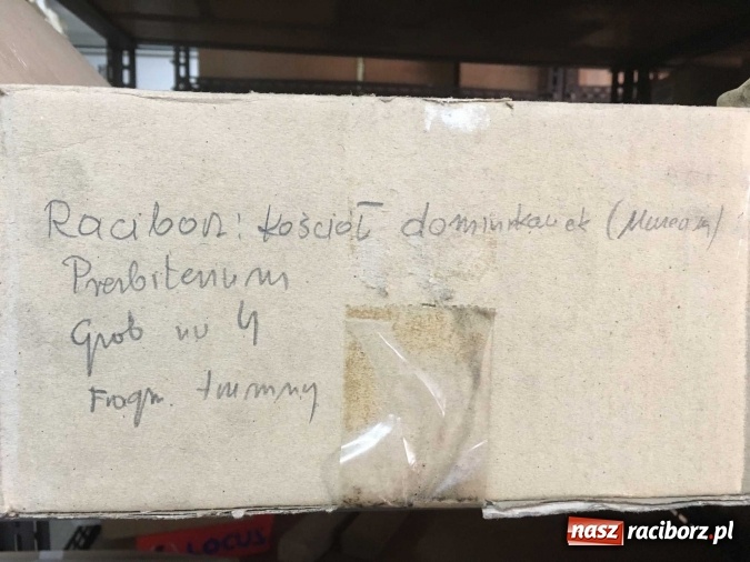 Zdjęcie w galerii na portalu naszraciborz.pl: Czesi pobiorą próbki do analiz DNA z domniemanych szczątków ostatniego raciborskiego Przemyślidy wiadomości z regionu