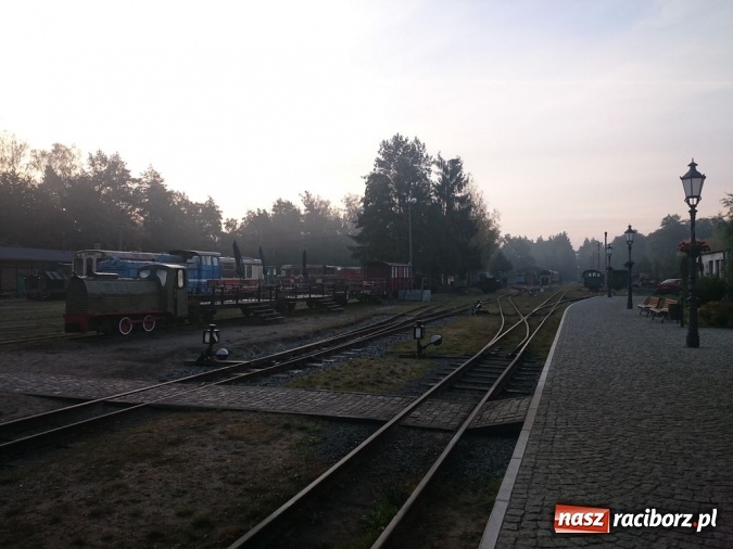 Zdjęcie w galerii na portalu naszraciborz.pl: Radosław Kubisz tegorocznym najlepszym grzybiarzem ziemi raciborskiej wiadomości z regionu