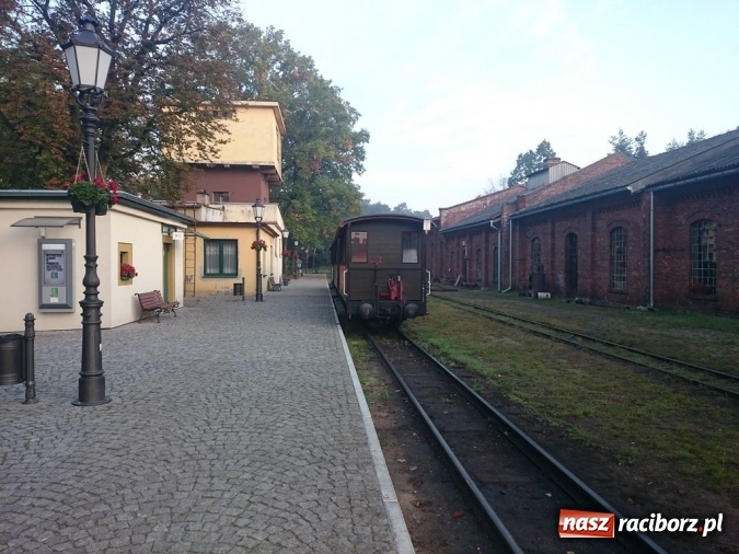 Zdjęcie w galerii na portalu naszraciborz.pl: Radosław Kubisz tegorocznym najlepszym grzybiarzem ziemi raciborskiej wiadomości z regionu