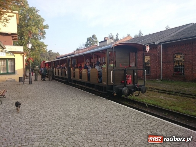 Zdjęcie w galerii na portalu naszraciborz.pl: Radosław Kubisz tegorocznym najlepszym grzybiarzem ziemi raciborskiej wiadomości z regionu
