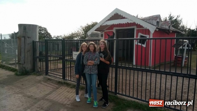 Zdjęcie w galerii na portalu naszraciborz.pl: Polsko-czeska wsp&oacute;łpraca w Gimnazjum nr 5 wiadomości z regionu