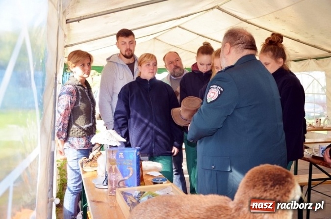 Zdjęcie w galerii na portalu naszraciborz.pl: Służba Celna na rzecz ochrony przyrody wiadomości z regionu