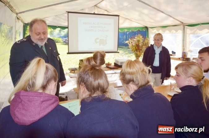 Zdjęcie w galerii na portalu naszraciborz.pl: Służba Celna na rzecz ochrony przyrody wiadomości z regionu