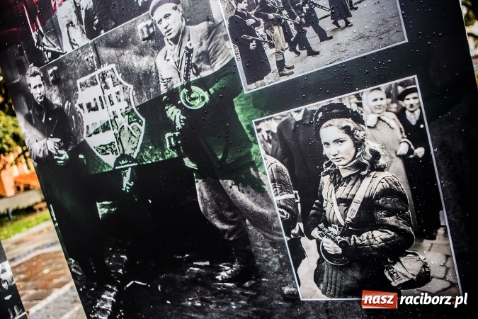 Zdjęcie w galerii na portalu naszraciborz.pl: Na skwerze ks. Stefana Pieczki otwarto wystawę pt. 1956. Polska-Węgry. Pamięć i Historia wiadomości z regionu