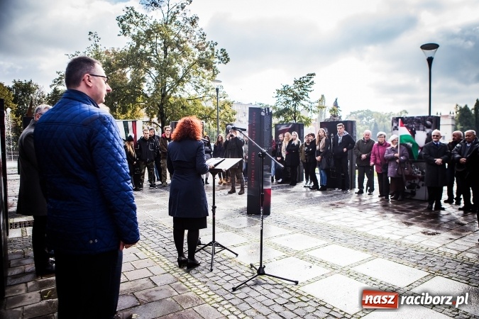 Zdjęcie w galerii na portalu naszraciborz.pl: Na skwerze ks. Stefana Pieczki otwarto wystawę pt. 1956. Polska-Węgry. Pamięć i Historia wiadomości z regionu