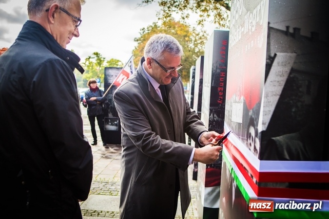 Zdjęcie w galerii na portalu naszraciborz.pl: Na skwerze ks. Stefana Pieczki otwarto wystawę pt. 1956. Polska-Węgry. Pamięć i Historia wiadomości z regionu
