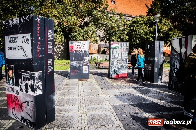 Zdjęcie w galerii na portalu naszraciborz.pl: Na skwerze ks. Stefana Pieczki otwarto wystawę pt. 1956. Polska-Węgry. Pamięć i Historia wiadomości z regionu