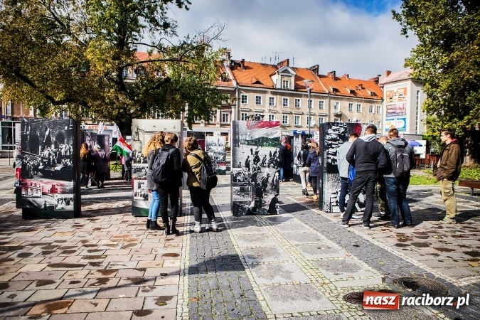 Zdjęcie w galerii na portalu naszraciborz.pl: Na skwerze ks. Stefana Pieczki otwarto wystawę pt. 1956. Polska-Węgry. Pamięć i Historia wiadomości z regionu