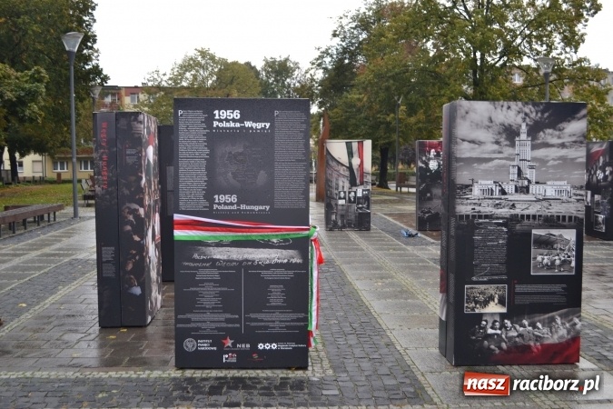Zdjęcie w galerii na portalu naszraciborz.pl: Braterstwo polsko-węgierskie w centrum Raciborza  wiadomości z regionu