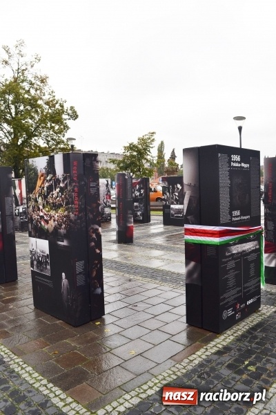 Zdjęcie w galerii na portalu naszraciborz.pl: Braterstwo polsko-węgierskie w centrum Raciborza  wiadomości z regionu