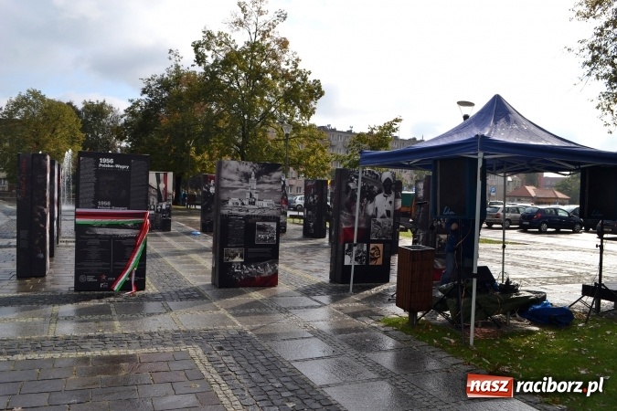 Zdjęcie w galerii na portalu naszraciborz.pl: Braterstwo polsko-węgierskie w centrum Raciborza  wiadomości z regionu